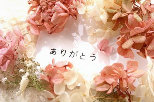【奥様】マリ
